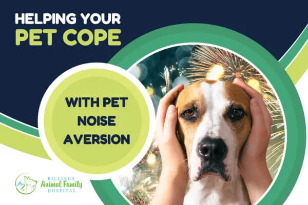 Pet Noise Aversion