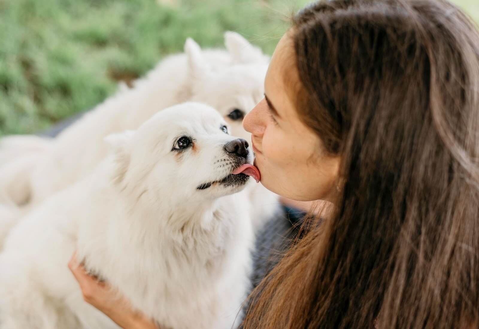 dog licking some one in the face