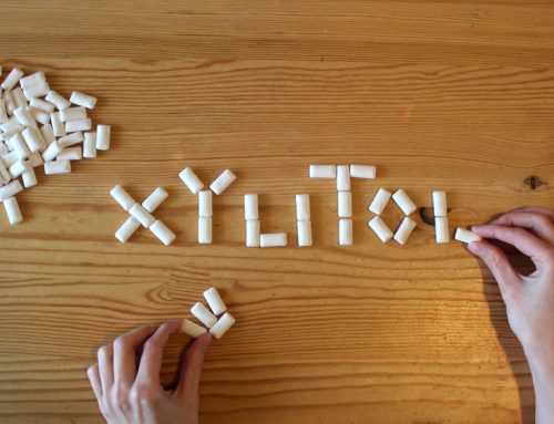 Xylitol Toxicity—What Pet Owners Should Know